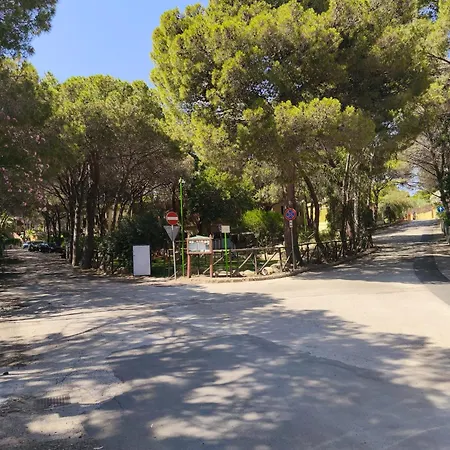 度假居 Roro's House - With Terrace 100m From The - Pinus Village 福特村