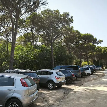 Roro's House - With Terrace 100m From The - Pinus Village * Fort Village