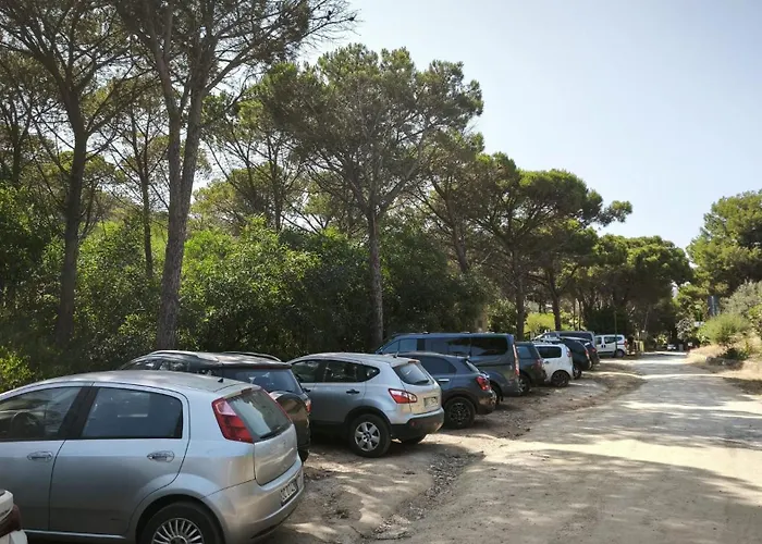 Roro's House - With Terrace 100m From The - Pinus Village * Fort Village