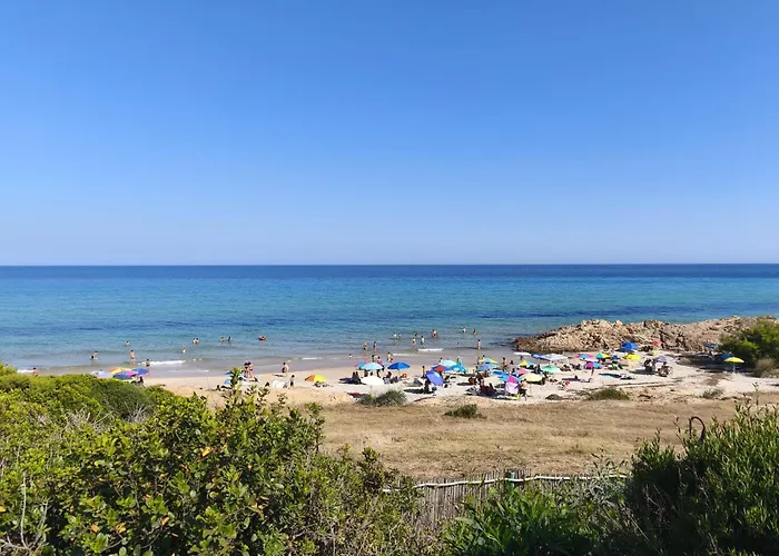 Roro's House - With Terrace 100m From The - Pinus Village Dom wakacyjny *